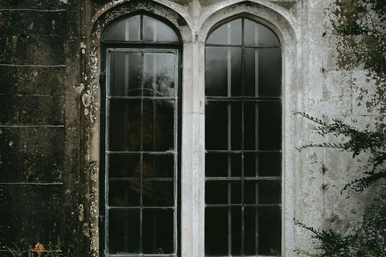 Arched windows set in weathered stone and foliage.